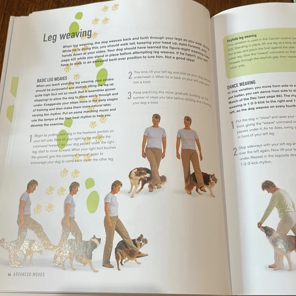 Dancing with Dogs Training Book - Picture 5 of 5